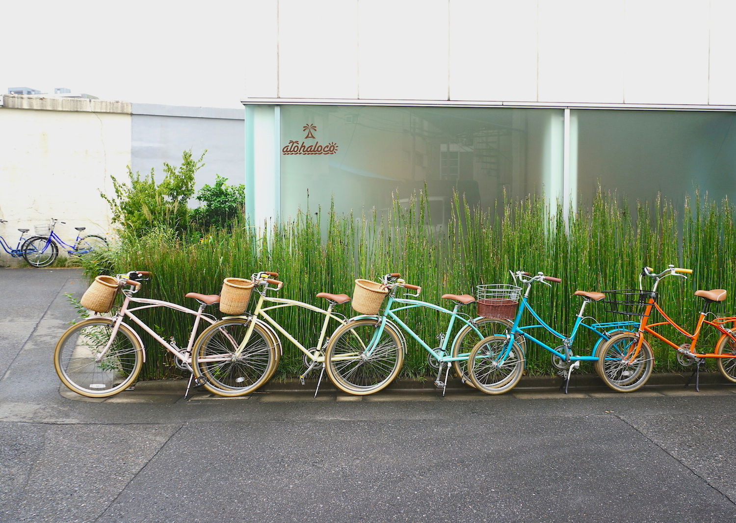 話題のリバーサイドタウン・清澄白河を「alohaloco」のキュートな