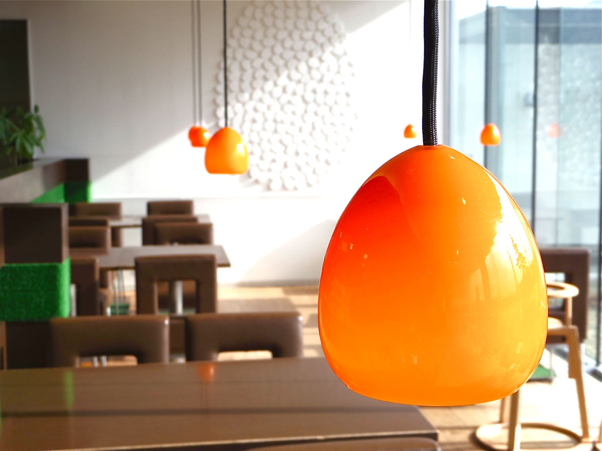 たまご、タマゴ、卵。バラエティと奥深いたまごの魅力を北海道「白老