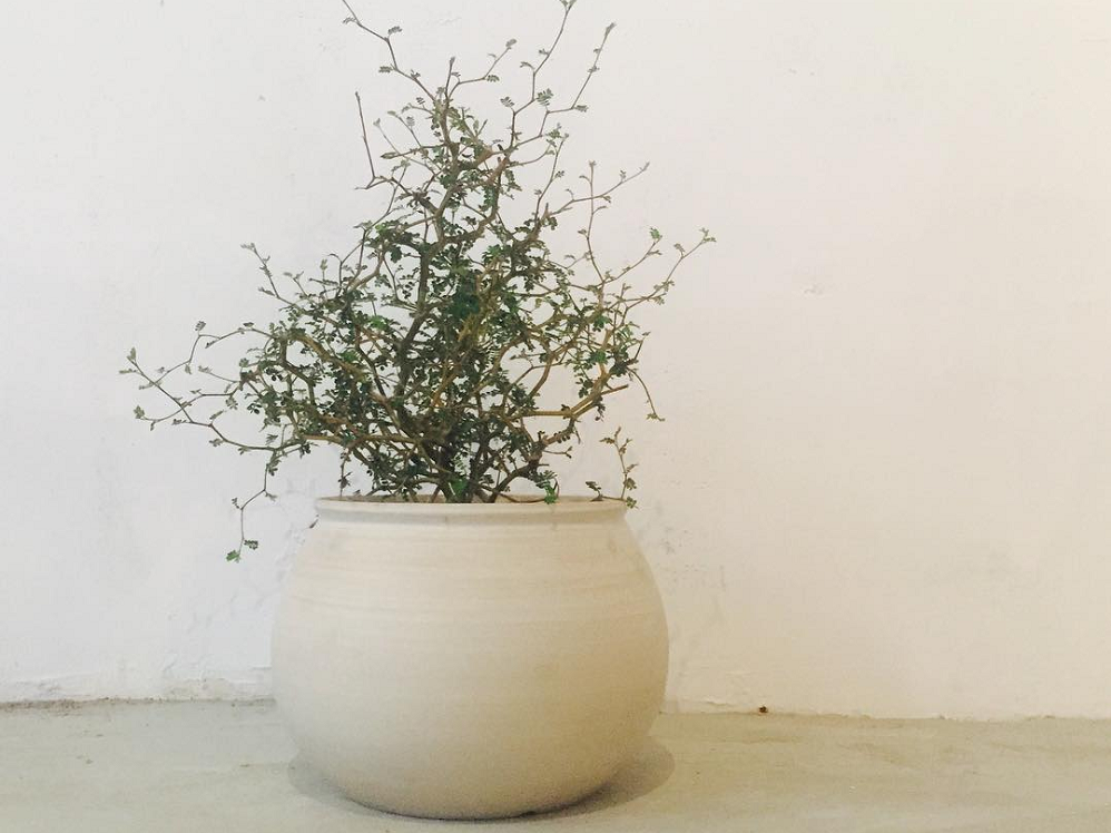 毎日を丁寧に過ごす人へ。生活にぬくもりを与える陶磁器ブランド「3RD