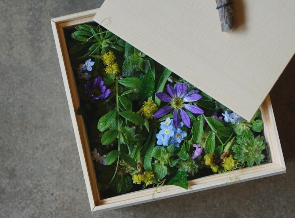 木箱をあけた時の感動をあなたへ。京都の花屋「みたて」の新しい