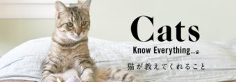 猫が教えてくれること