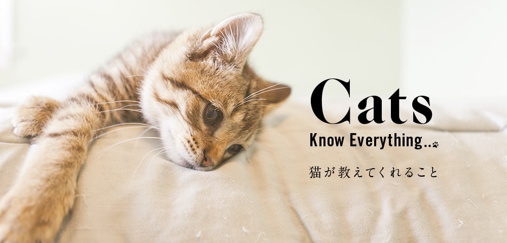 猫が教えてくれること
