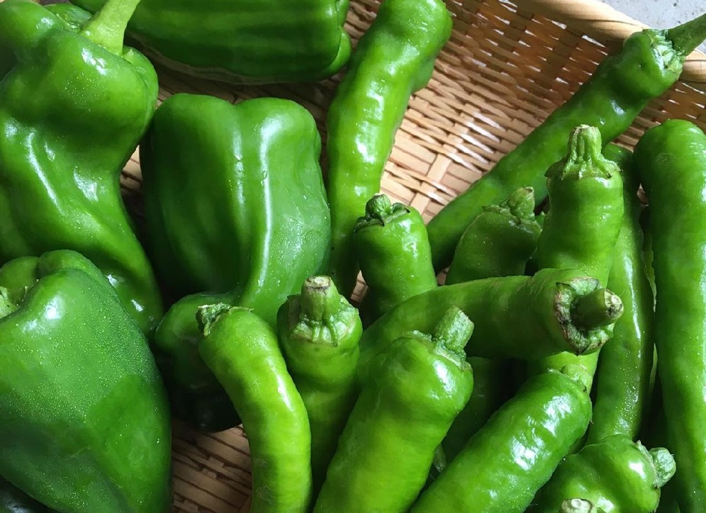 暮らし方 人や自然への接し方を考える今 小さな商店が大きく描く自然と共存する未来 Sheage シェアージュ