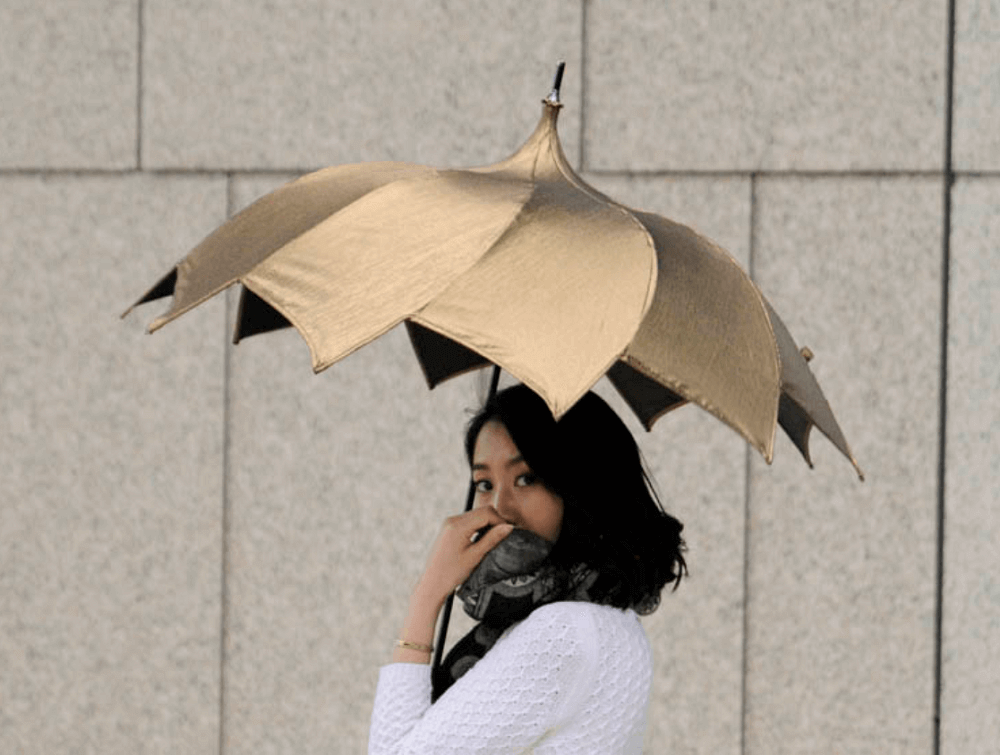 美しいフォルムにうっとり。独創性に富んだ傘を展開する「DiCesare