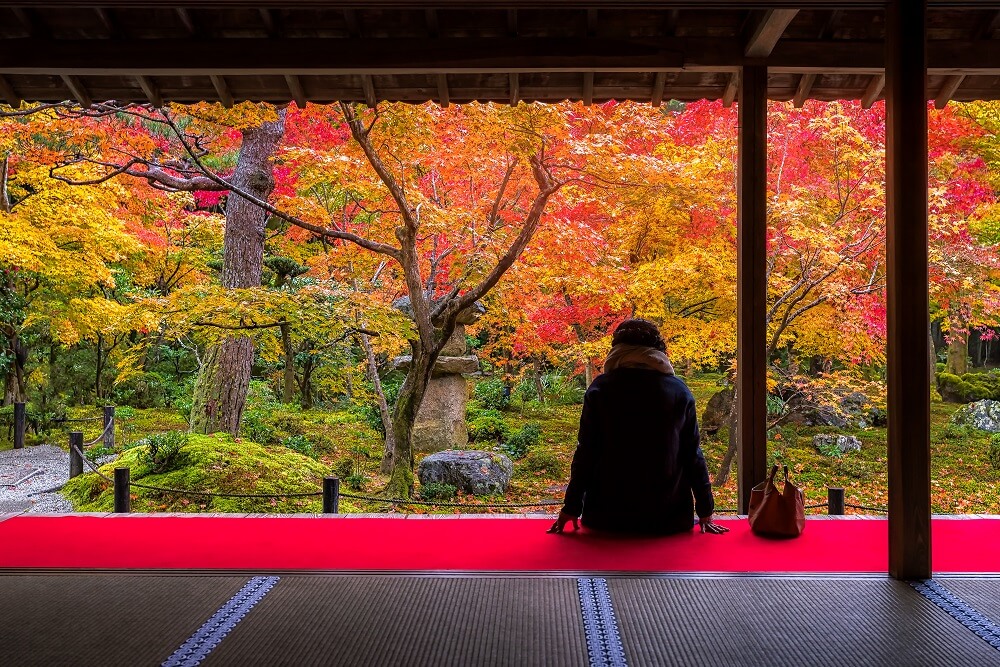 autumn-leaves-in-Kyoto-top.jpg
