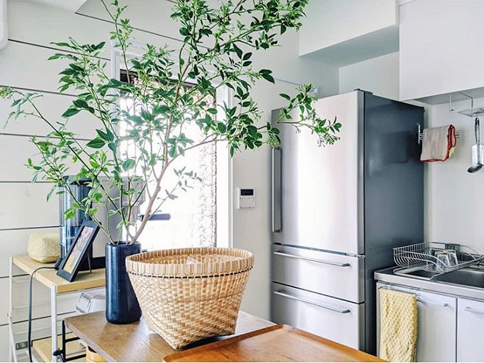 今っぽい植物の飾り方とは センス溢れる部屋づくりが叶うグリーンのディスプレイ術 Sheage シェアージュ