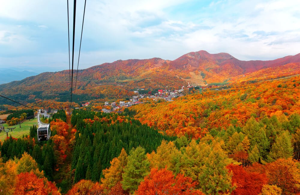 紅葉「い・ろ・は」 大切な想い出。秋 紅葉「い・ろ・は」 大切な想い出。秋 紅葉「い・ろ・は」 大切