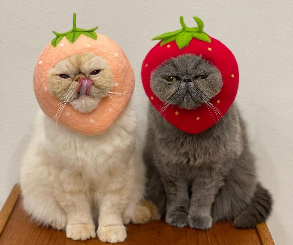 ビレロイ＆ボッホ｜ドイツの老舗ダイニング＆ライフスタイル ブランド