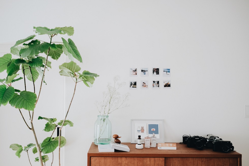 夏の終わりを家で満喫する 癒しのひとときを過ごせる6つのアイデア Sheage シェアージュ