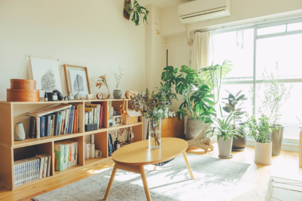 インテリアコーディネーターが教える。涼しく快適に過ごせる部屋作りの