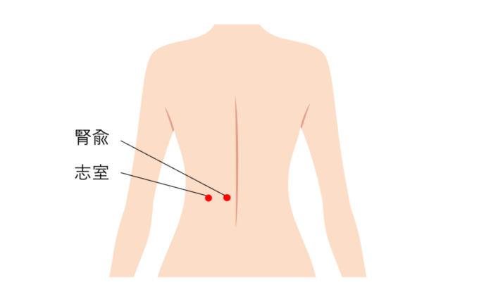 つらい腰痛の原因と症状とは？腰痛の予防法＆自宅でできる簡単ツボ押し・ストレッチを紹介