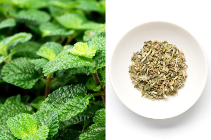 PMSの緩和に薬草の力を借りる。植物療法士に教わるおまもりハーブ６選