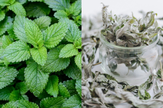 PMSの緩和に薬草の力を借りる。植物療法士に教わるおまもりハーブ６選