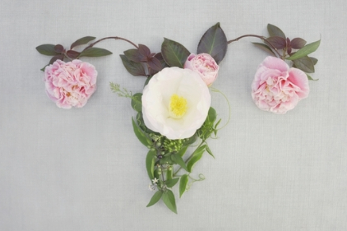 PMSの緩和に薬草の力を借りる。植物療法士に教わるおまもりハーブ６選