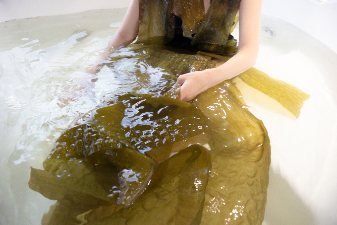美しい湖と自然発酵のパンにナチュラルワインも。五感が満たされる函館近郊ドライブコース