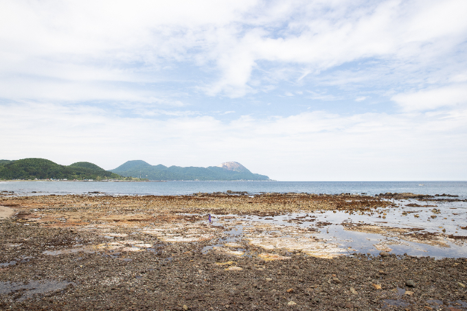 昆布と海がくれる、潤いの未来。いま、私たちにもできることは？