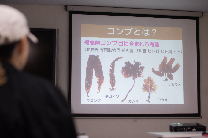 昆布と海がくれる、潤いの未来。いま、私たちにもできることは？