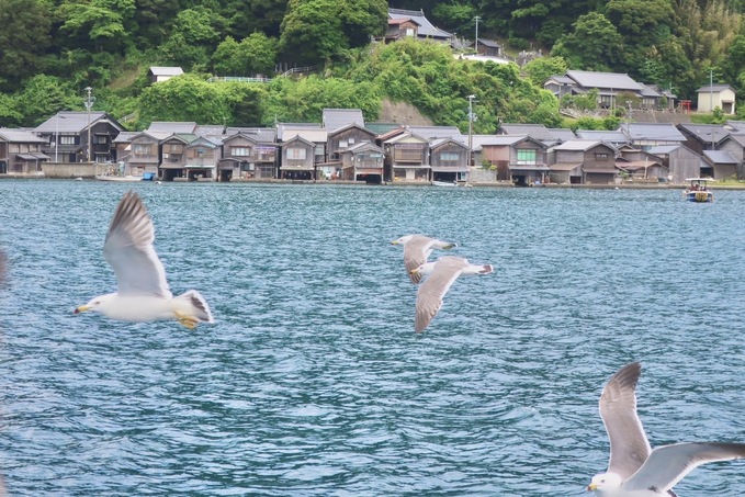 別世界「海の京都」へ。エメラルドグリーンの海に浮かぶ町・伊根の舟屋に泊まる旅