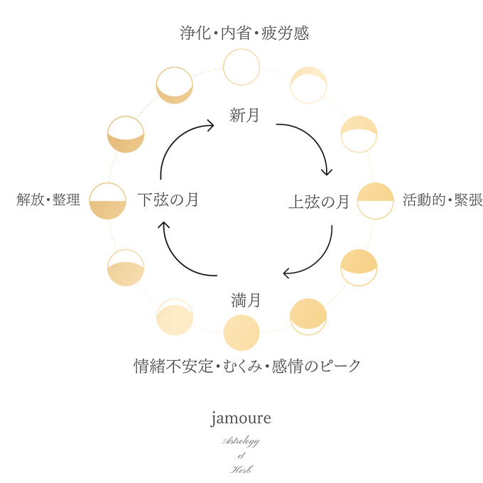 月の満ち欠けと共に刻まれる体のリズム。心と体を整える、植物療法セルフケア