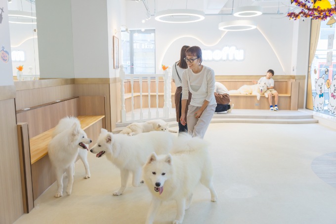 都会で体験できる、癒しの新スポット『サモエドカフェmoffu』体験ルポ