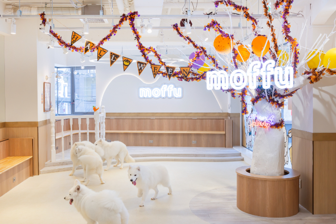 都会で体験できる、癒しの新スポット『サモエドカフェmoffu』体験ルポ
