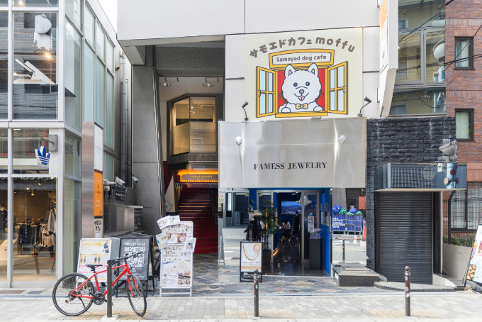 都会で体験できる、癒しの新スポット『サモエドカフェmoffu』体験ルポ