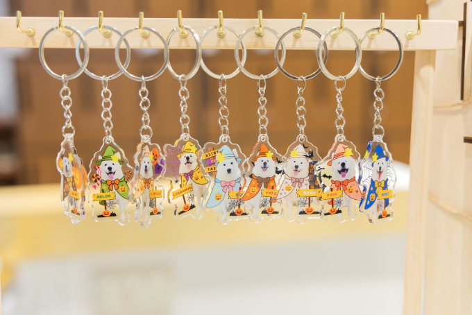 都会で体験できる、癒しの新スポット『サモエドカフェmoffu』体験ルポ