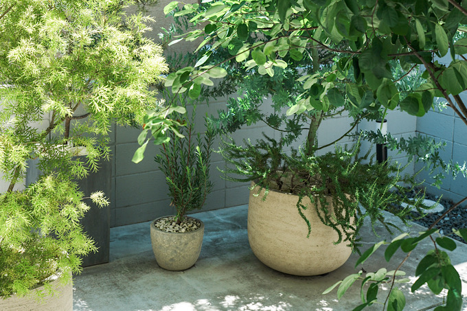 健やかで心地よい毎日を作る。アロマセラピストの「心と体をケアするためのモーニングルーティン」