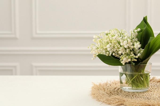 2026年、まず整えるべき場所とは？上げたい運気別にできる。新年から幸運を呼び込む＜風水インテリア＞