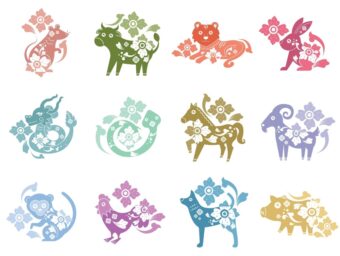 隠された一面も明かされる！？あなたの表の性格・裏の性格【算命学・干支別】