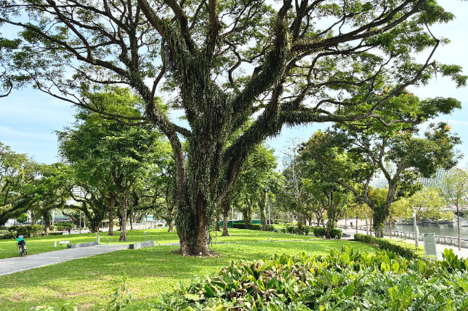 未来都市シンガポールで、自然に還るような時間を