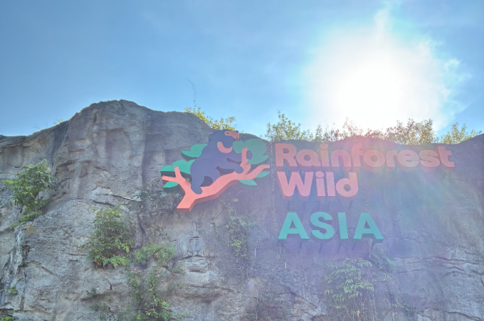 都市から30分で出合う熱帯雨林へ。シンガポールで楽しむ自然体験と滞在ガイド