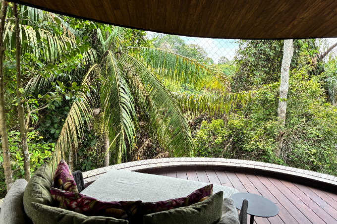 都市から30分で出合う熱帯雨林へ。シンガポールで楽しむ自然体験と滞在ガイド