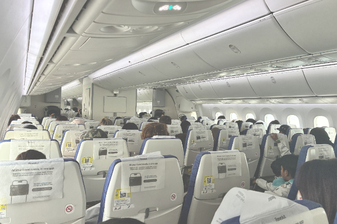 都市から30分で出合う熱帯雨林へ。シンガポールで楽しむ自然体験と滞在ガイド