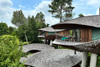 都市から30分で出合う熱帯雨林へ。シンガポールで楽しむ自然体験と滞在ガイド