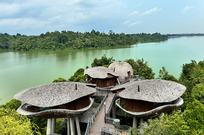 都市から30分で出合う熱帯雨林へ。シンガポールで楽しむ自然体験と滞在ガイド