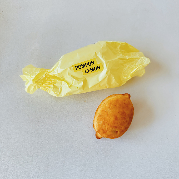 鎌倉へ行くなら、これは外せない！かわいさも味も大満足。ちょっと通な鎌倉土産ベスト5