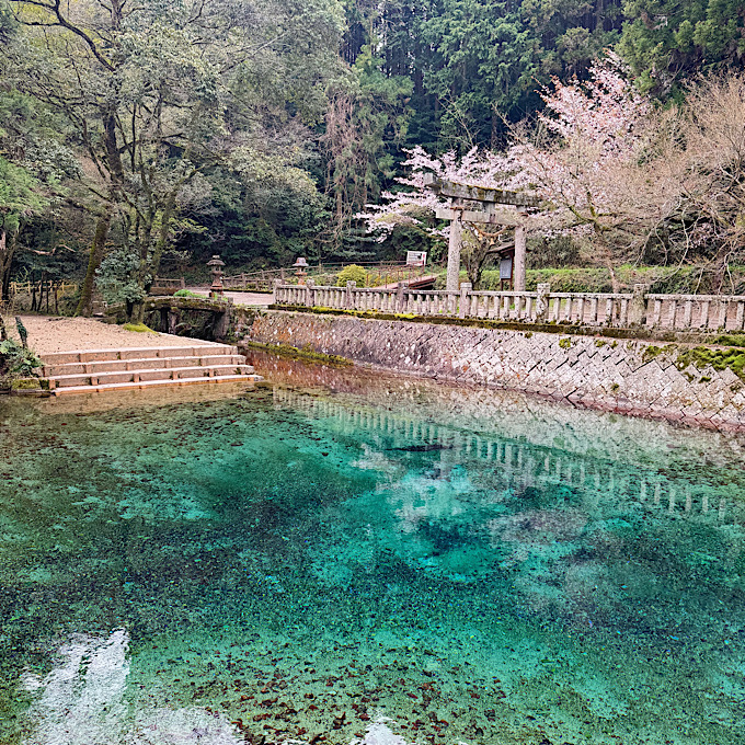 エメラルドブルーの絶景に癒される。人気の山口県「角島大橋」「別府弁天池」を巡るおすすめモデルコース