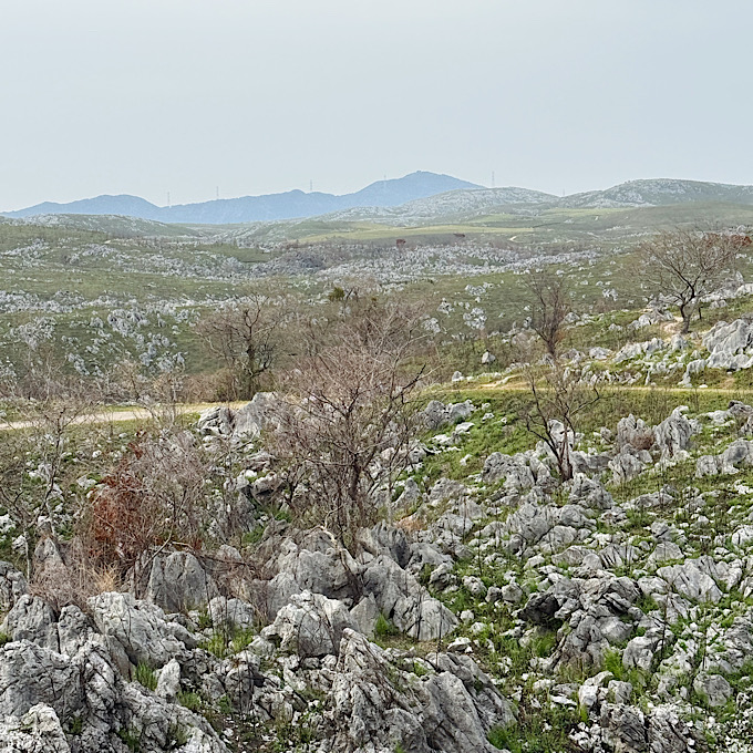 エメラルドブルーの絶景に癒される。人気の山口県「角島大橋」「別府弁天池」を巡るおすすめモデルコース