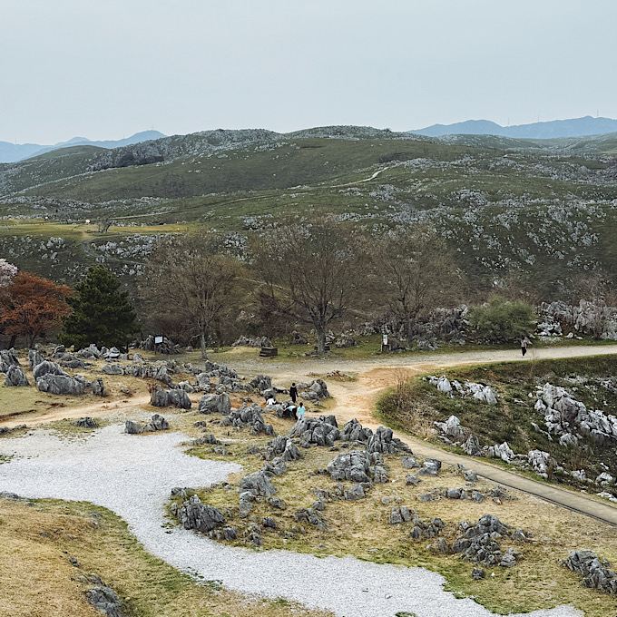 エメラルドブルーの絶景に癒される。人気の山口県「角島大橋」「別府弁天池」を巡るおすすめモデルコース