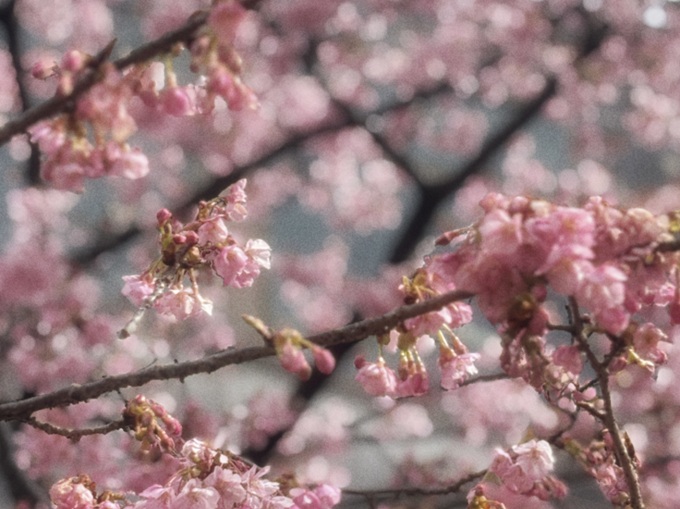 絶景と海の幸に癒されて。大切な人とゆったり過ごせる「プレジャーリゾート 伊豆赤沢温泉」一泊二日レポート