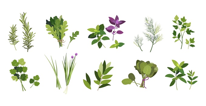 新緑の季節に知っておきたい「幸運を呼ぶ」植物。＜12星座・6タイプ別＞あなたの守護樹＆おすすめハーブ